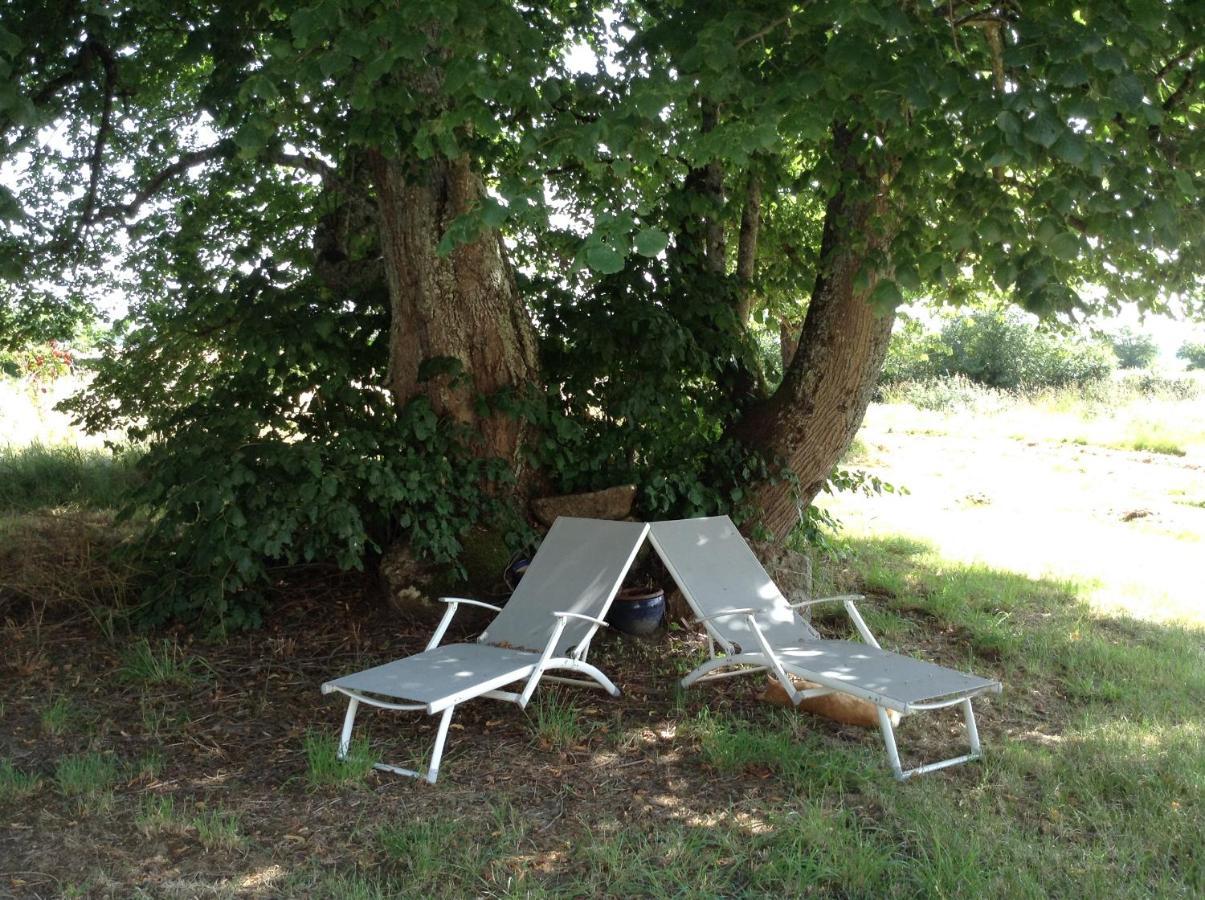 Homestay at Residence de la Arrabella Availles-Limouzine Exterior foto